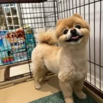 井上製作所de金属加工
